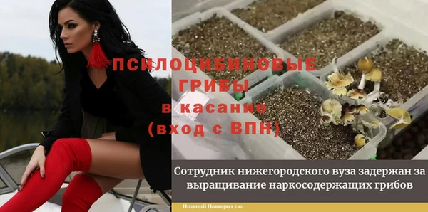 спайс Балабаново