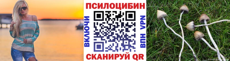Галлюциногенные грибы Psilocybe  закладки  Гурьевск 
